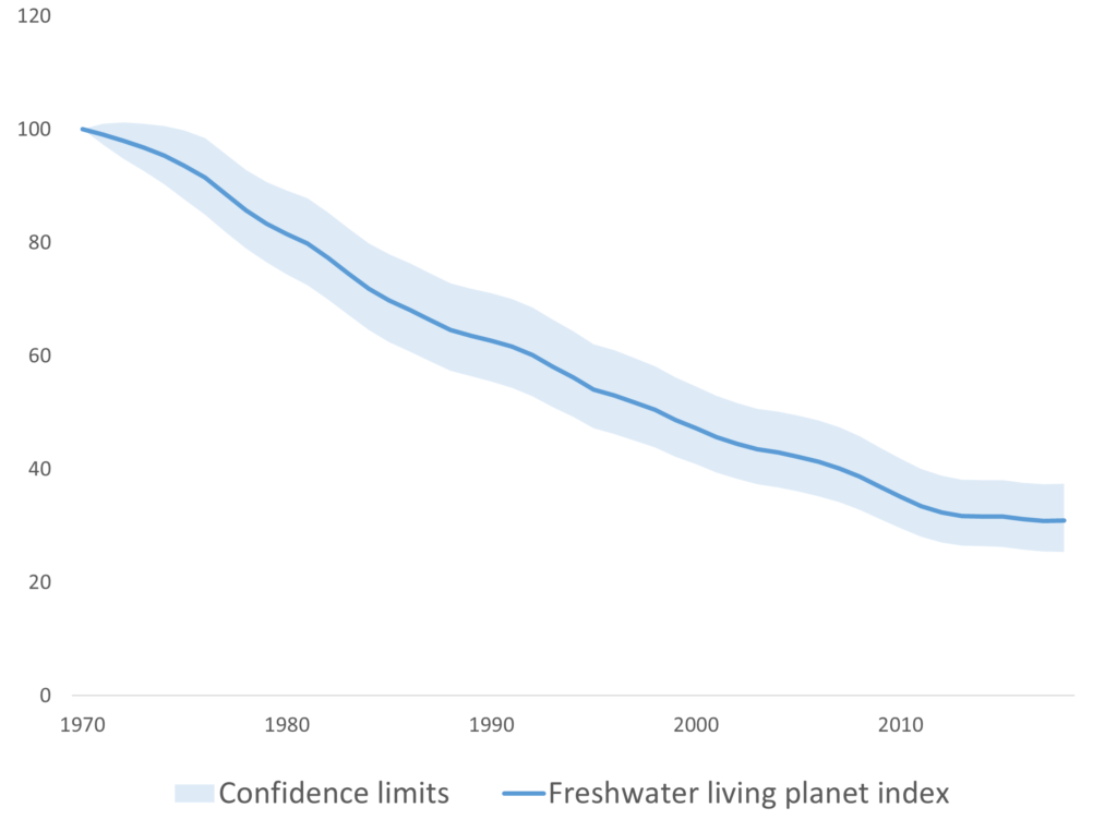 Freshwater living planet index