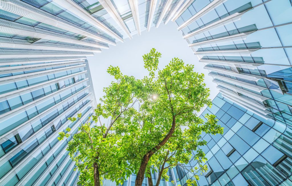 Sustainable Debt Awards