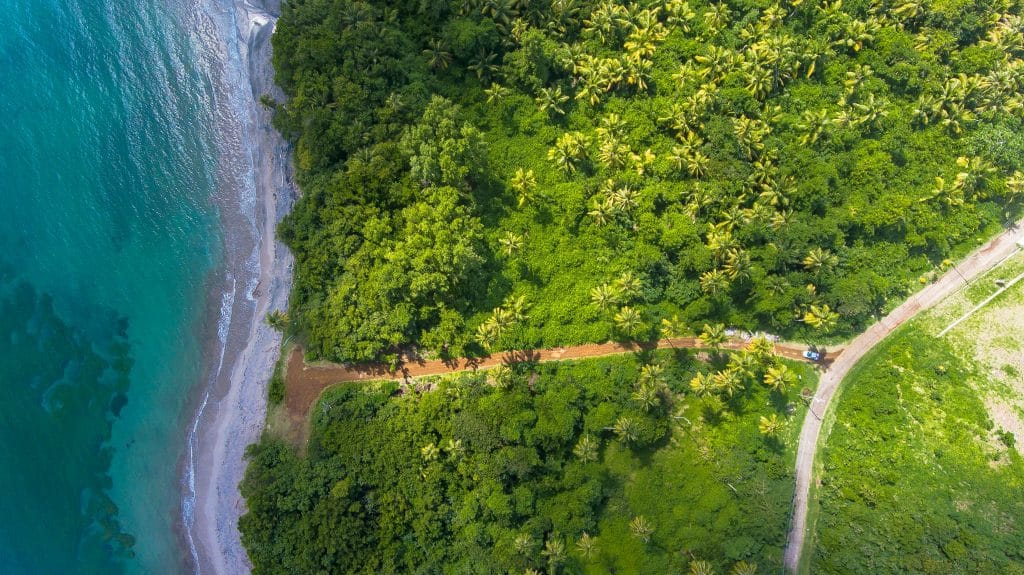 bird eye view of forest and sea representing the Climate Bonds Resilience Taxonomy