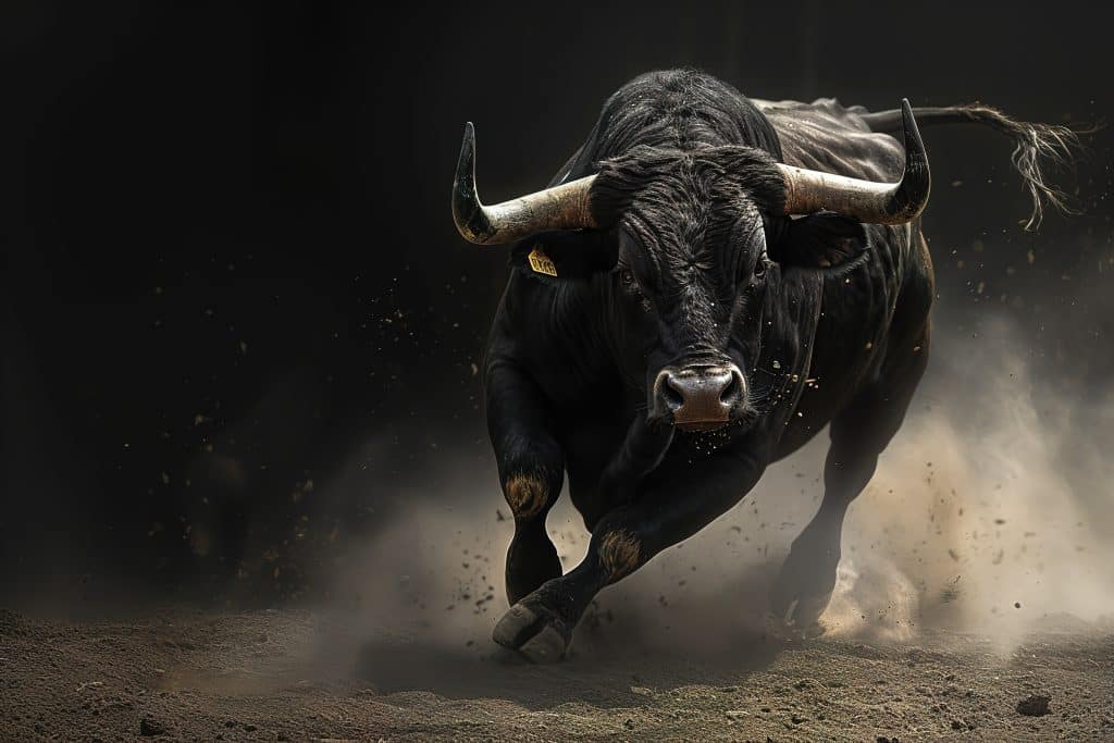 hedge fund bullish alpha strategies