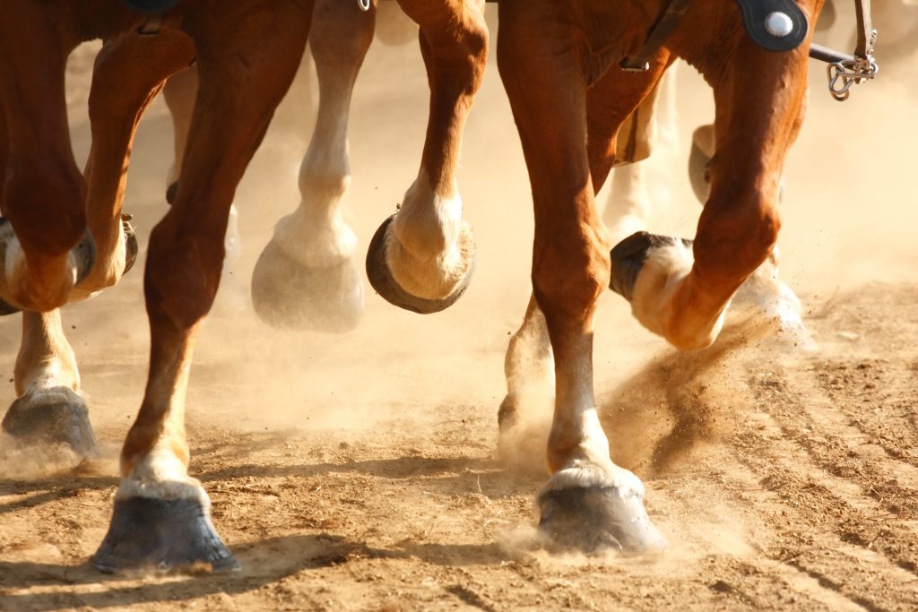 2026 Hedge Fund Outlook represented by strides