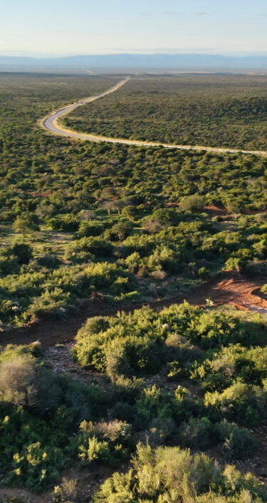 Carbon credits
