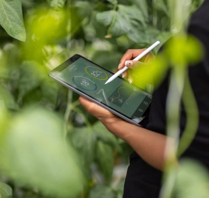 Agronomist using digital tablet