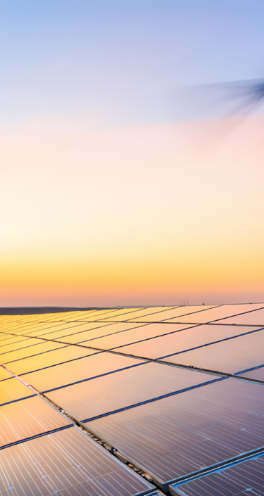 Solar panels and wind turbines at sunset