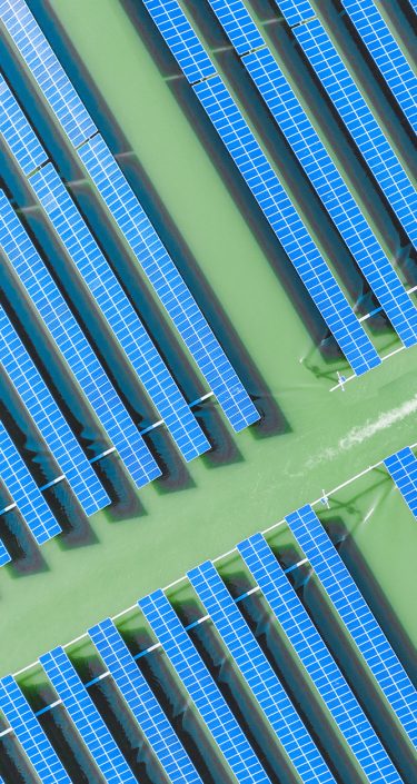 BNP Paribas - Sustainable Bonds Market 2026